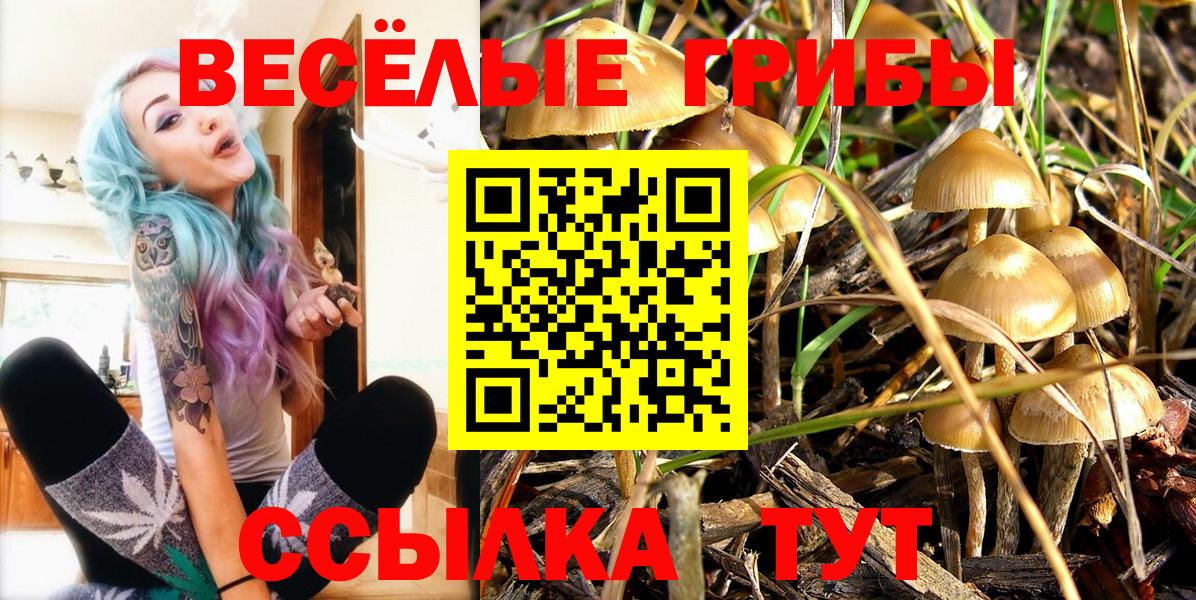 Кинель  Псилоцибиновые грибы Psilocybe  Вход с VPN 